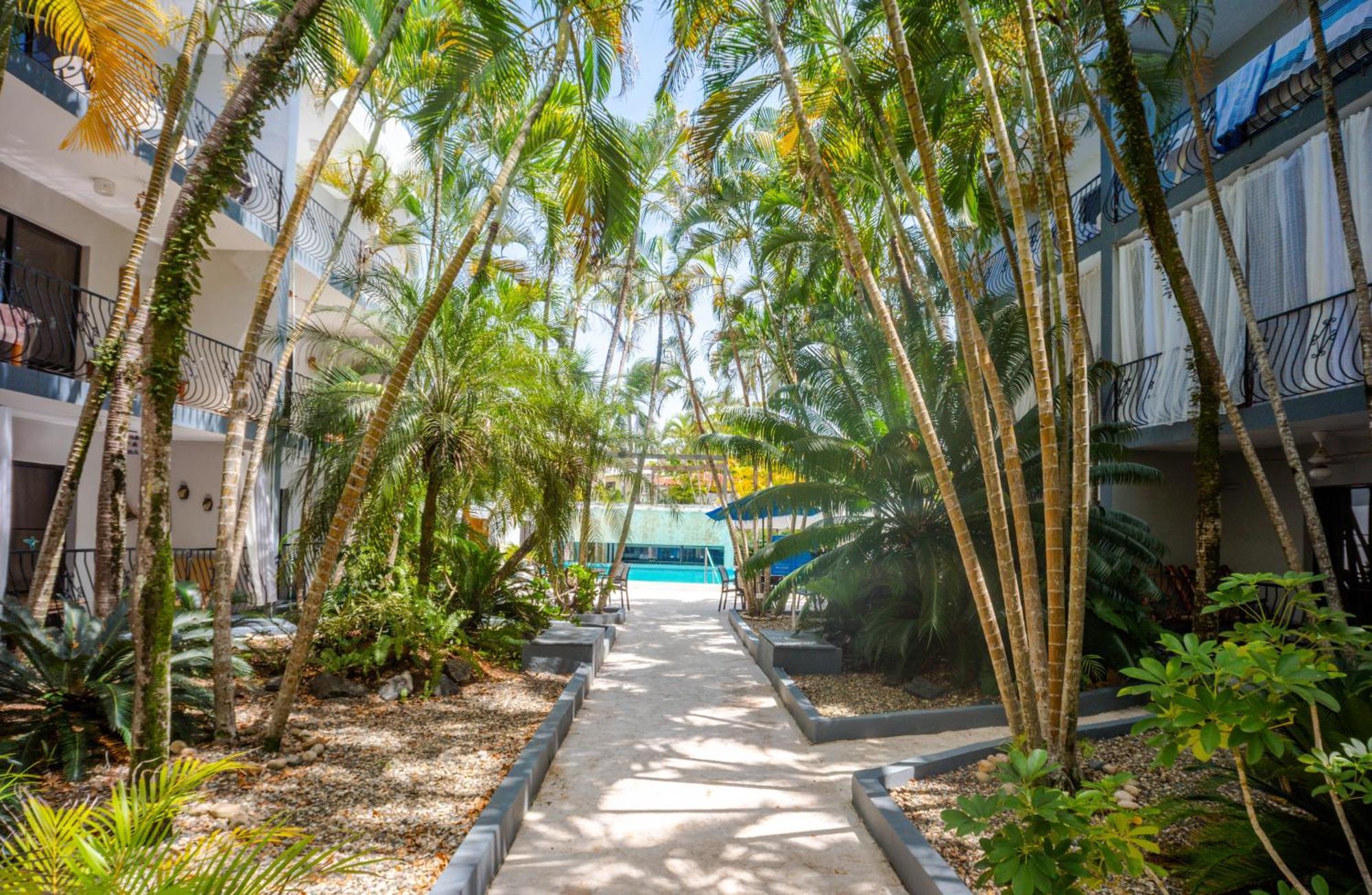 Beautifully Updated In The Heart Of Town Apartment Cabarete Exterior photo